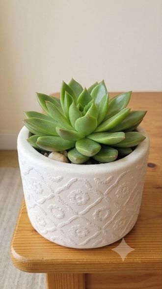 Eco resin indoor planter, Flower pattern, ideal for succulent plants