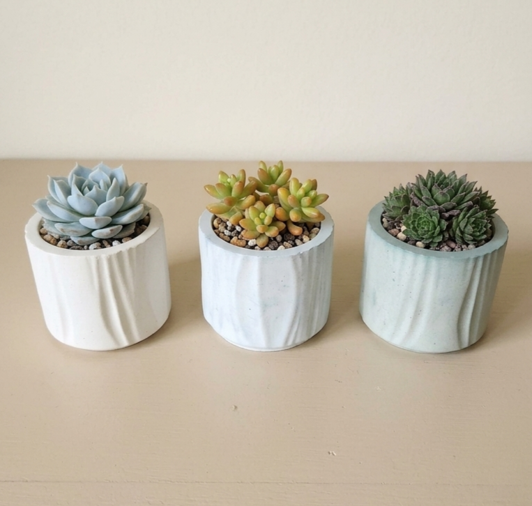 Eco resin indoor planter, ideal for succulent plants