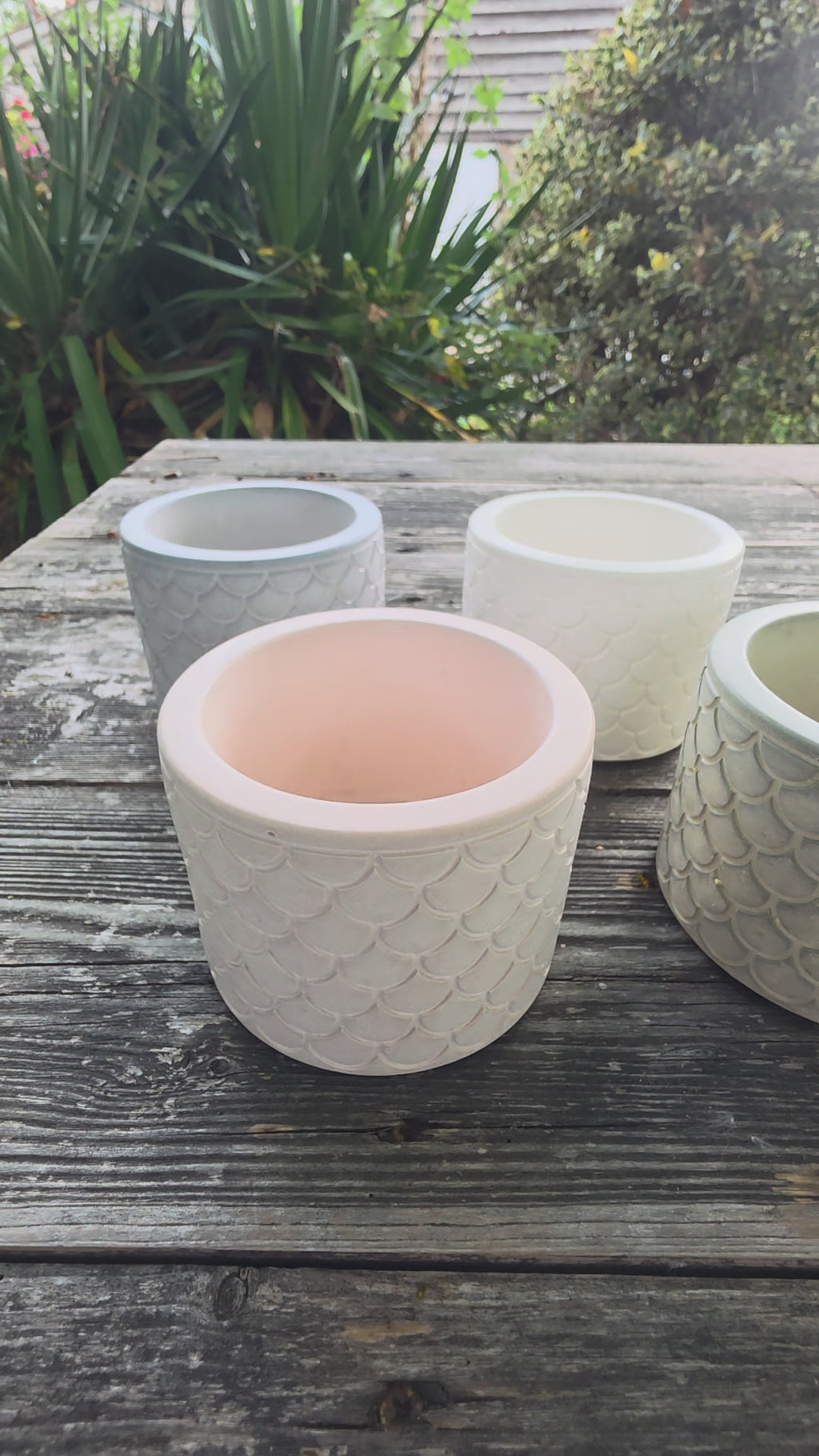 Eco resin indoor planter, shell pattern, ideal for succulent plants